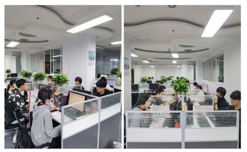 成都市成华区第七次全国人口普查咨询热线正式开通，为您提供便捷信息咨询服务